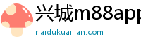 兴城m88app